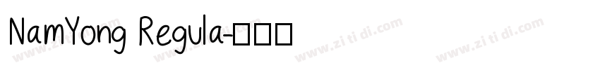 NamYong Regula字体转换